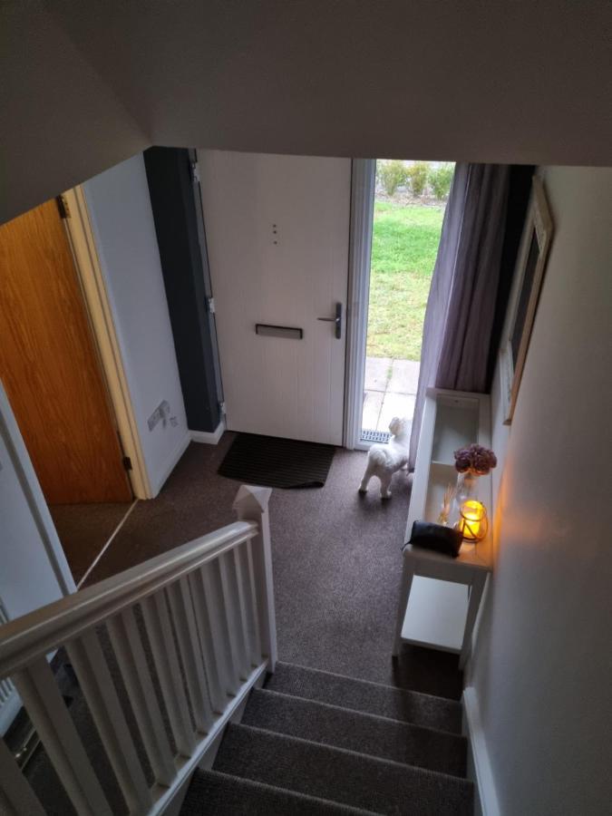 Modern 3 Bedroom Semi Detached Home Limavady Zewnętrze zdjęcie
